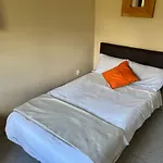 Ciegos * Peguerinos